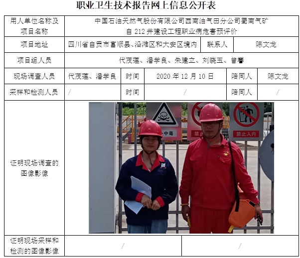 中国石油天然气股份有限公司西南油气田分公司蜀南气矿自212井建设工程职业病危害预评价.jpg