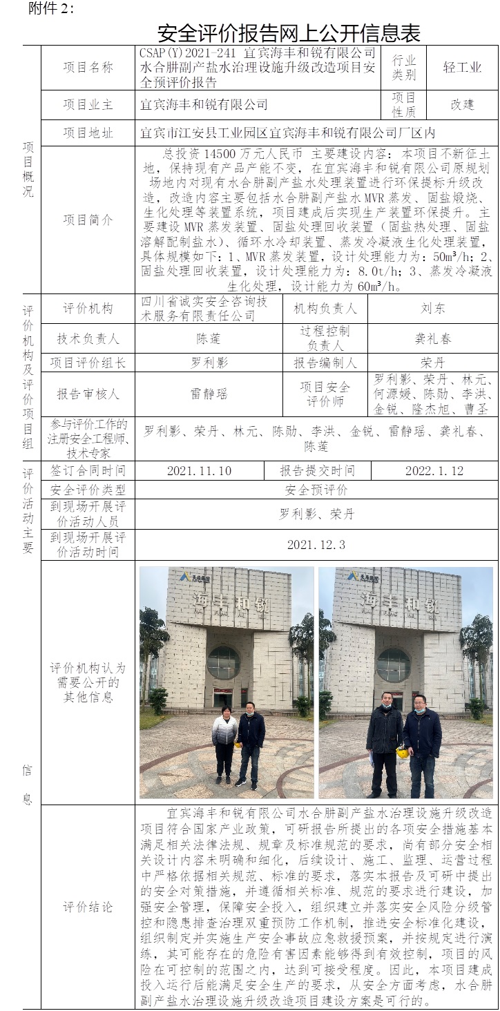 宜宾海丰和锐有限公司水合肼副产盐水治理设施升级改造项目安全预评价.jpg