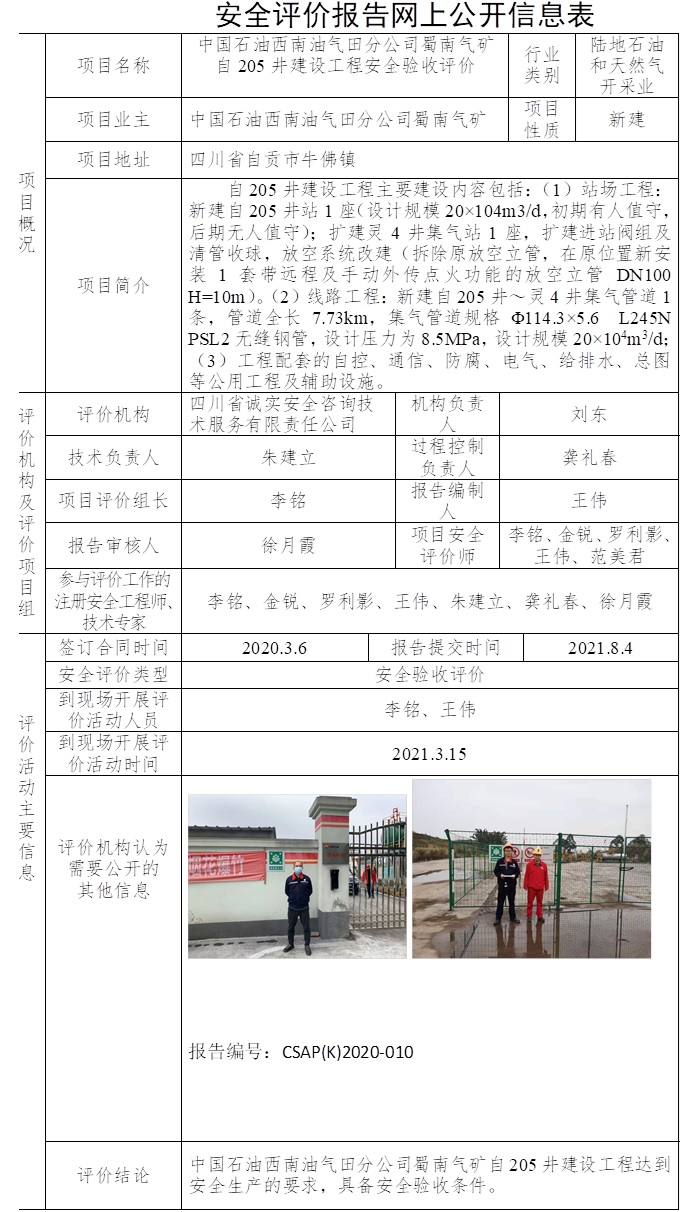 中国石油西南油气田分公司蜀南气矿自205井建设工程安全验收评价.jpg