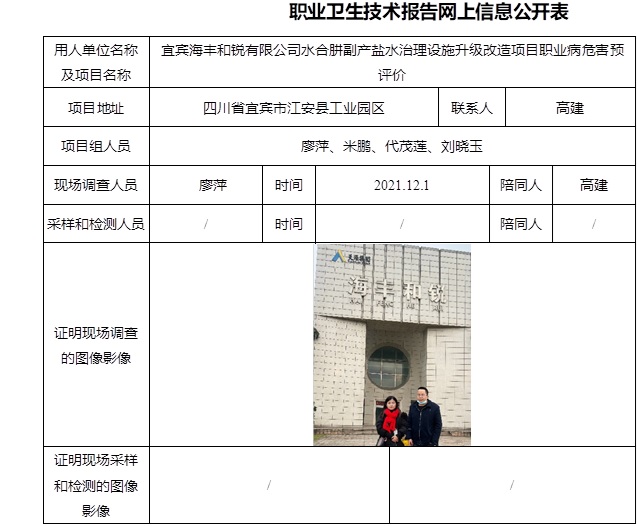 宜宾海丰和锐有限公司水合肼副产盐水治理设施升级改造项目职业病危害预评价.jpg