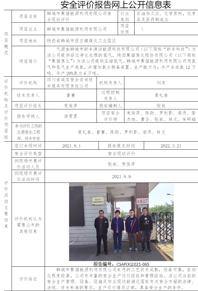 韩城市黑猫能源利用有限公司安全现状评价.jpg