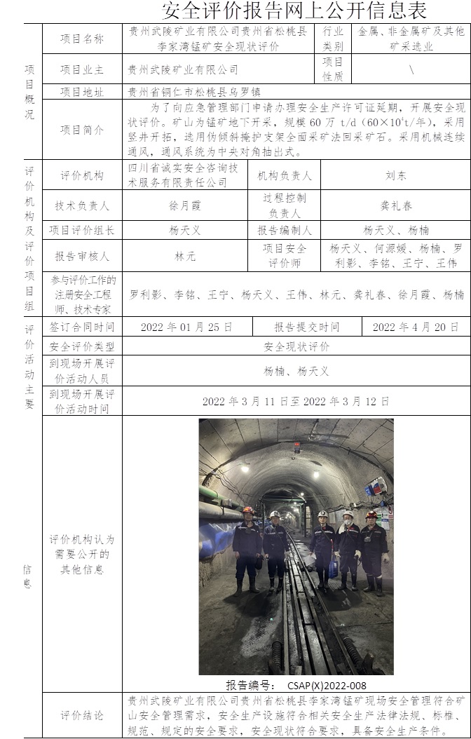 贵州武陵矿业有限公司贵州省松桃县李家湾锰矿安全现状评价.jpg