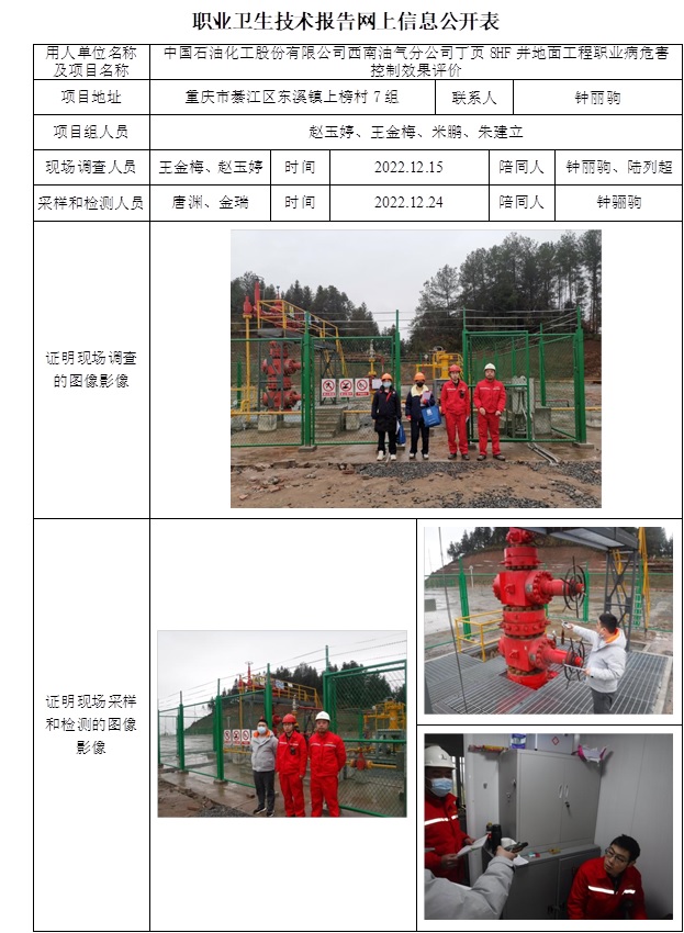 中国石油化工股份有限公司西南油气分公司丁页8HF井地面工程职业病危害控制效果评价.jpg