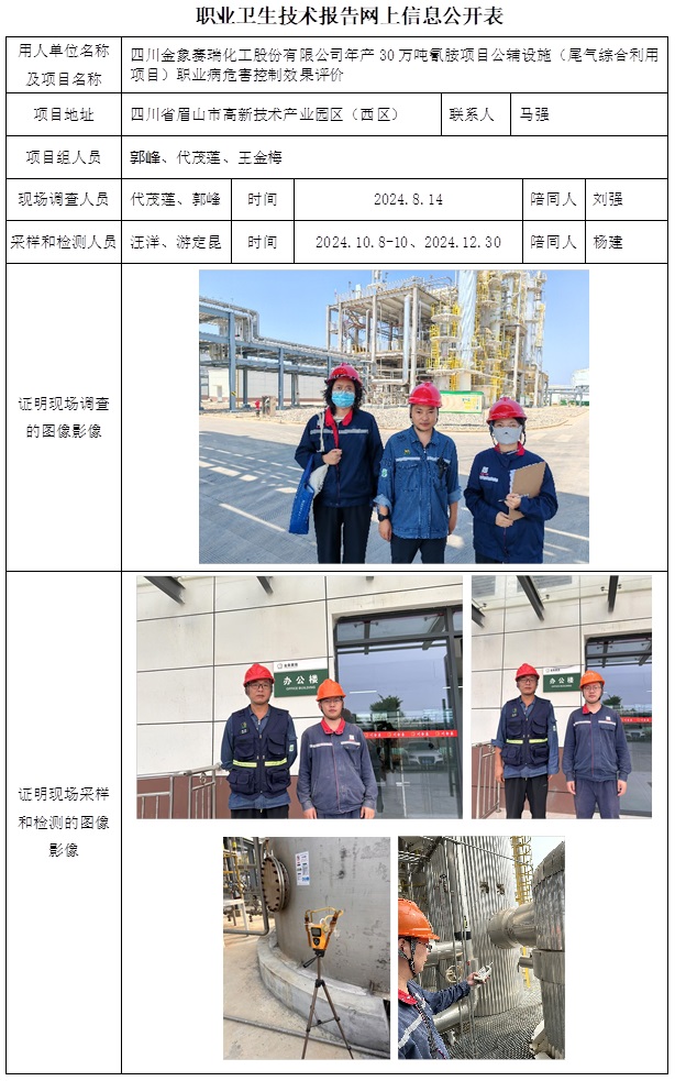 CSZP（K）2024-052 四川金象赛瑞化工股份有限公司年产30万吨氰胺项目公辅设施（尾气综合利用项目）.jpg