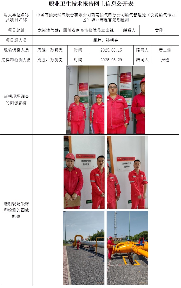 2025.09.28 CSZJ(D)2025-049.4中国石油天然气股份有限公司西南油气田分公司输气管理处（仪陇输气作业区）-网上公开信息表.jpg