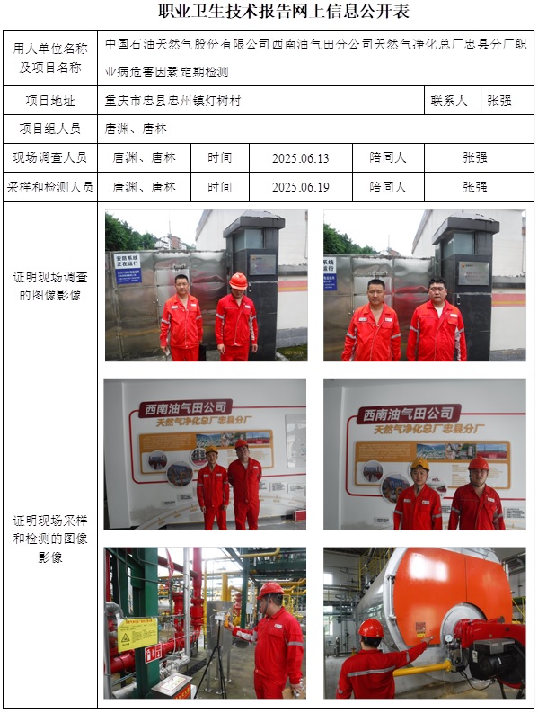 2025.09.29CSZJ（D）2025-025.2中国石油天然气股份有限公司西南油气田分公司天然气净化总厂忠县分厂网上公开信息表.jpg