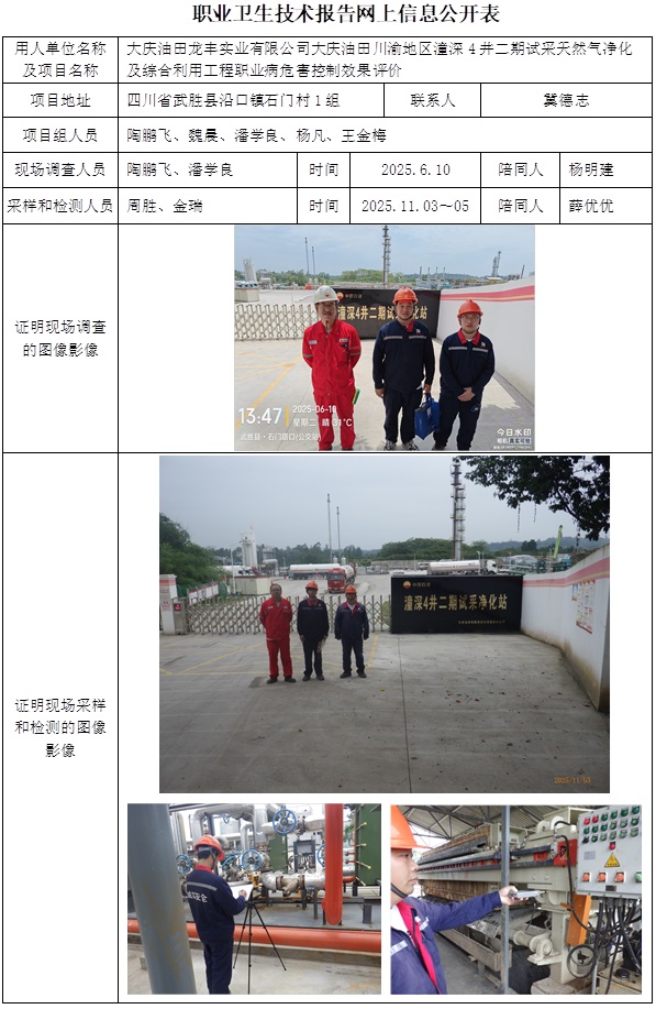 2025.12.23  CSZP（K）2025-004+大庆油田龙丰实业有限公司大庆油田川渝地区潼深4井二期试采天然气净化及综合利用工程-网上信息公开表.jpg