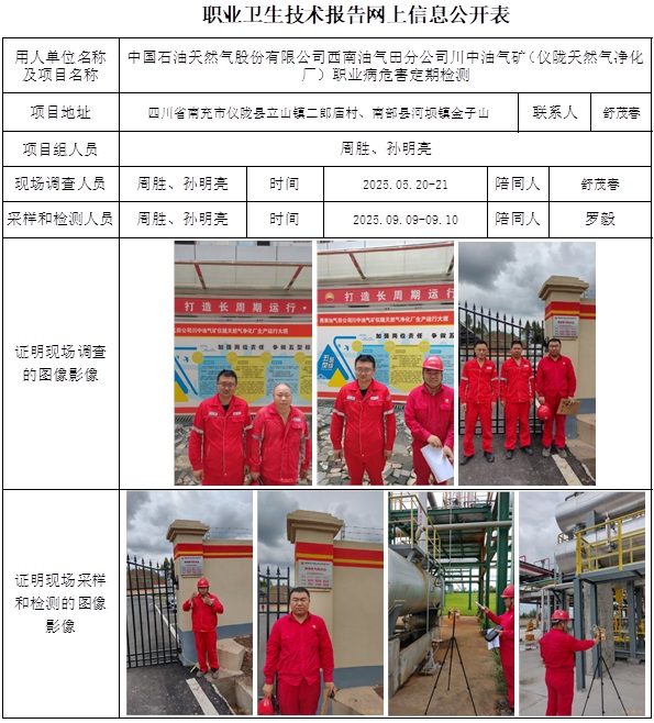 2025.09.28 CSZJ（D）2025-017.4中国石油天然气股份有限公司西南油气田分公司川中油气矿（仪陇天然气净化厂）-网上公开信息表.jpg